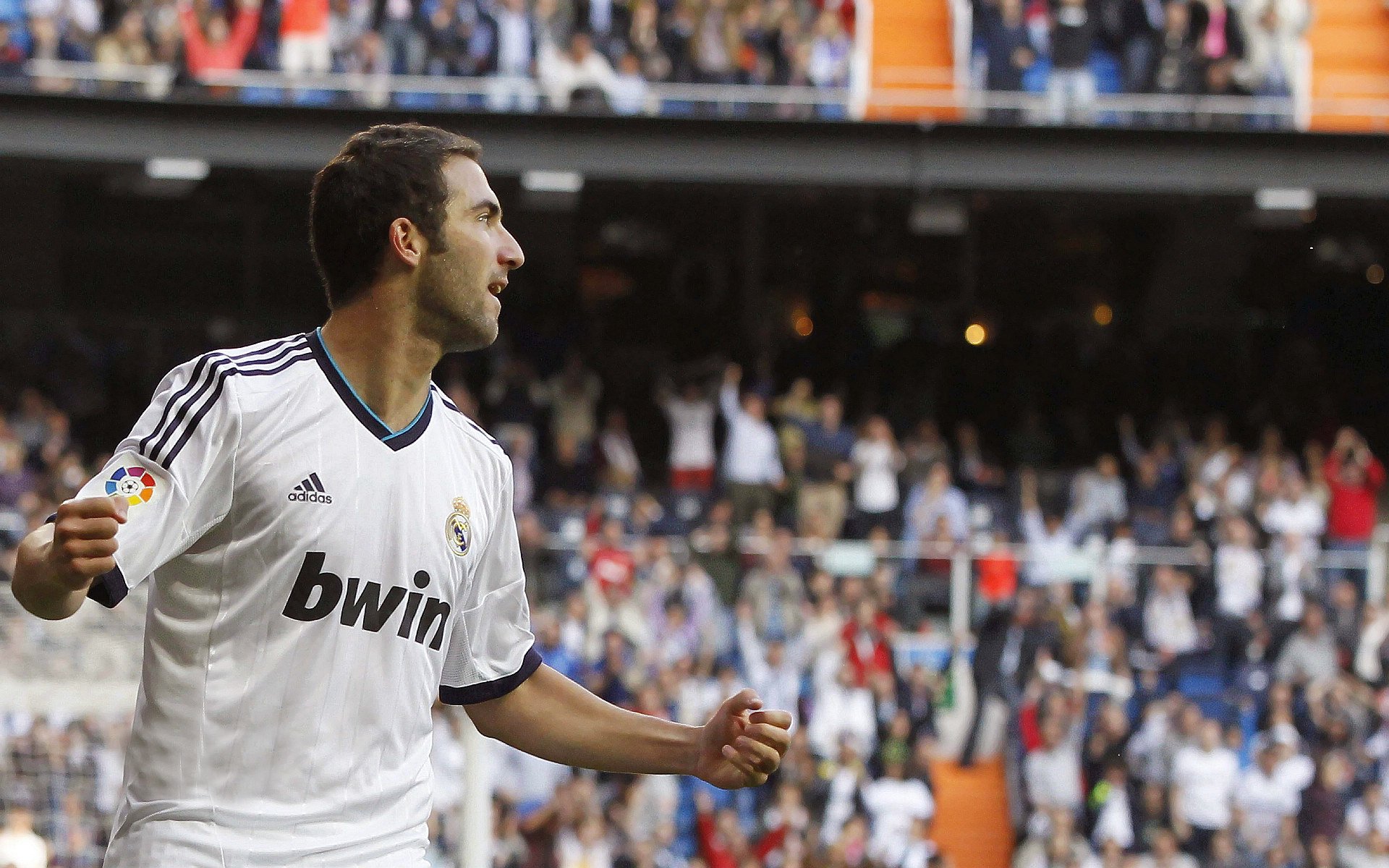 网球公开赛现场观众热情高涨